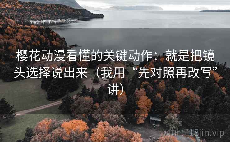 樱花动漫看懂的关键动作：就是把镜头选择说出来（我用“先对照再改写”讲）